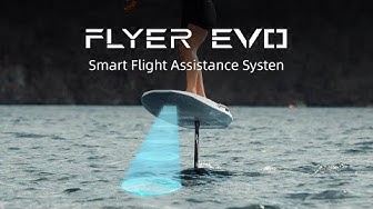 Revolutionizing Flight Control with the Flyer EVO Smart Flight Assistance System